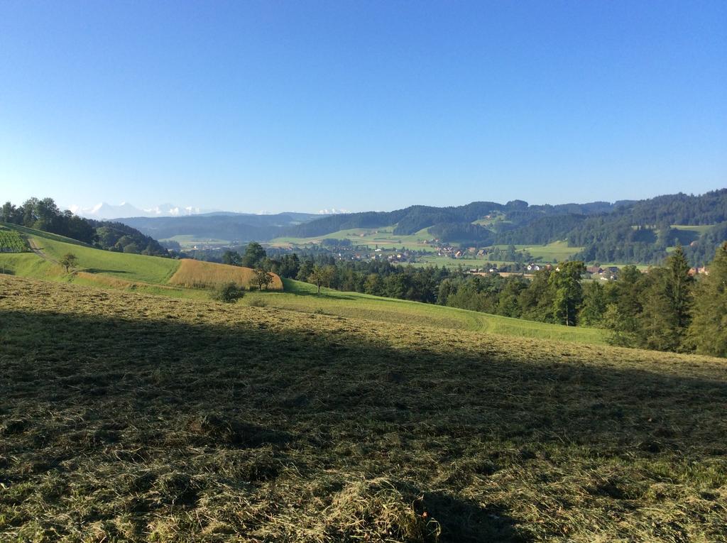 Landcafe Mit Mini Hotel Burgdorf Exteriér fotografie